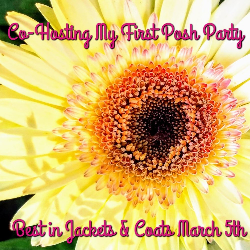 Co-Hosting My First Posh Party!! Looking for HPs!